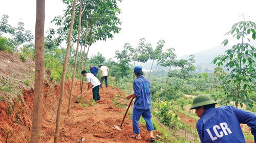 การปฏิบัติแผนพัฒนาเขตตะวันตกภาคเหนือ